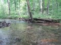 fowlers hollow.Laural run 06-09-14 096